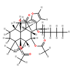 caesalminaxin K