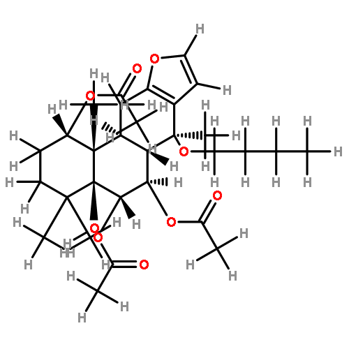 caesalminaxin K