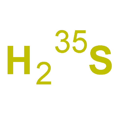 Sulfur, isotope of mass35