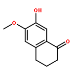 7-hydroxy-6-methoxy-3,4-dihydronaphthalen-1(2H)-one