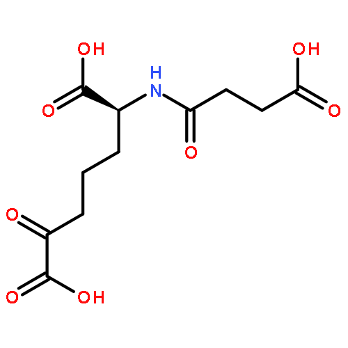 Heptanedioic acid, 2-[(3-carboxy-1-oxopropyl)amino]-6-oxo-, (2S)-