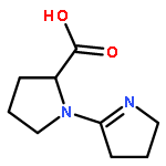 L-Proline, 1-(3,4-dihydro-2H-pyrrol-5-yl)- (9CI)