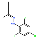 2-Butanone, 3,3-dimethyl-, (2,4,6-trichlorophenyl)hydrazone