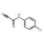 Carbonocyanidic amide,(4-chlorophenyl)- (9CI)