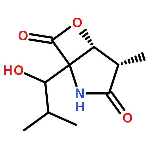 6-Oxa-2-azabicyclo[3.2.0]heptane-3,7-dione,1-[(1S)-1-hydroxy-2-methylpropyl]-4-methyl-, (1R,4R,5S)-