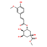 Methyl 3-O-feruloylquinate