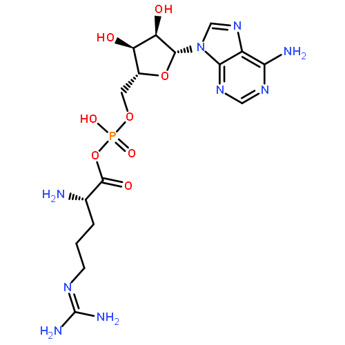 L-Arginine,monoanhydride with 5'-adenylic acid (9CI)