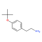 BENZENEETHANAMINE,4-(1,1-DIMETHYLETHOXY)-