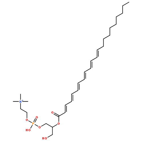 2-Docosahexaenoyl-sn-glycero-3-phosphocholine