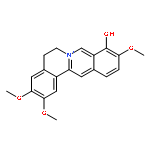 Palmatrubine