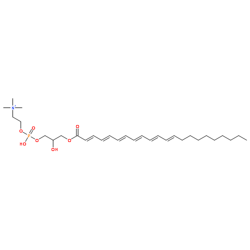 1-Docosahexaenoyl-sn-glycero-3-phosphocholine