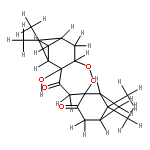 Amomum peroxide