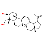 (1R,3aR,5aR,5bR,7aR,8R,9S,11aR,11bR,13aR,13bR)-8-(hydroxymethyl)-3a,5a,5b,8,11a-pentamethyl-1-(prop-1-en-2-yl)icosahydro-1H-cyclopenta[a]chrysen-9-ol