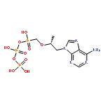 Tenofovir Diphosphate