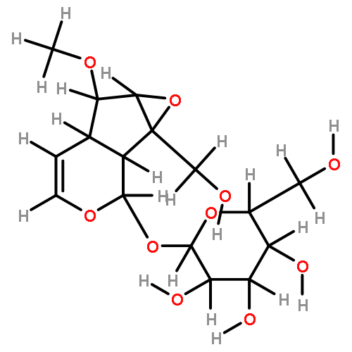 6-O-methylcatalpol