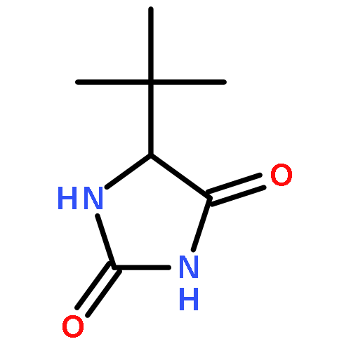 5-(1,1-dimethylethyl)-2,4-Imidazolidinedione