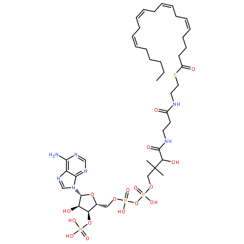 S-[2-[3-[[(2R)-4-[[[(2R,3R,5R)-5-(6-aminopurin-9-yl)-4-hydroxy-3-phosphonooxyoxolan-2-yl]methoxy-hydroxyphosphoryl]oxy-hydroxyphosphoryl]oxy-2-hydroxy-3,3-dimethylbutanoyl]amino]propanoylamino]ethyl] (5Z,8Z,11Z,14Z)-icosa-5,8,11,14-tetraenethioate