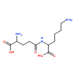 L-Lysine, N6-L-g-glutamyl-