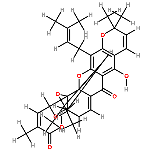 morellic acid