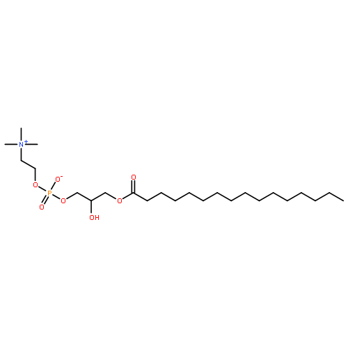 rac-1-palmitoyl-glycero-3-phosphocholine