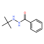 Benzoic acid,2-(1,1-dimethylethyl)hydrazide