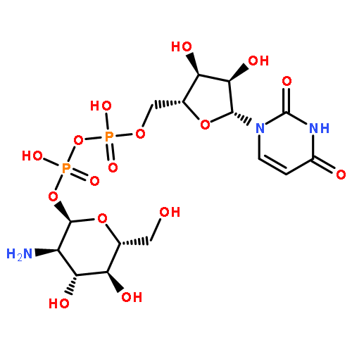 UDP-glucosamine