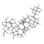 Notoginsenoside R9