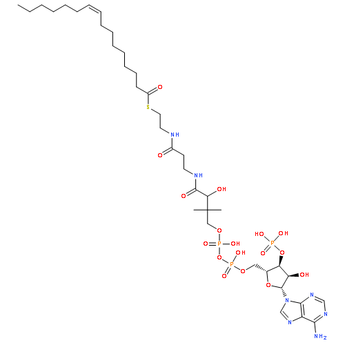 Palmitoleoyl coenzyme A lithium salt