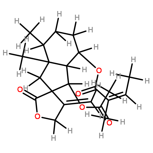 (-)-bakkenolide B