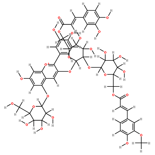 3-O--6-O-(E)-caffeyl-beta-D-glucopyranosyl>-5-O-(beta-D-glucopyranosyl)cyanidin