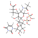 O5'-{2-[2-Acetylamino-O3-((R)-1-carboxy-aethyl)-2-desoxy-alpha-D-glucopyranosyloxy]-1,2-dihydroxy-diphosphoryl}-uridin