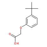 Acetic acid,2-[3-(1,1-dimethylethyl)phenoxy]-