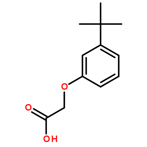 Acetic acid,2-[3-(1,1-dimethylethyl)phenoxy]-