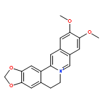 10,11-dimethoxy-5,6-dihydro[1,3]dioxolo[4,5-g]isoquino[3,2-a]isoquinolin-7-ium