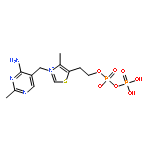 Thiazolium,3-[(4-amino-2-methyl-5-pyrimidinyl)methyl]-4-methyl-5-(4,6,6-trihydroxy-4,6-dioxido-3,5-dioxa-4,6-diphosphahex-1-yl)-,inner salt (9CI)