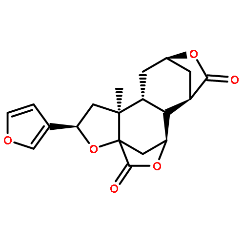 Diosbulbin B