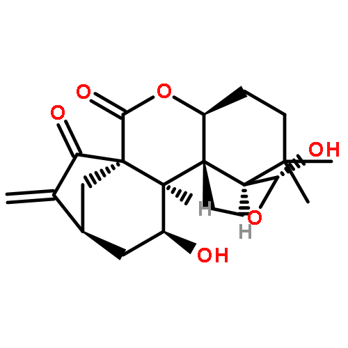 Epinodosin