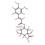 3-caffeoyl-D-quinic acid