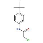 N-(4-tert-butylphenyl)-2-chloroacetamide