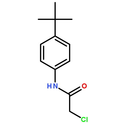 N-(4-tert-butylphenyl)-2-chloroacetamide