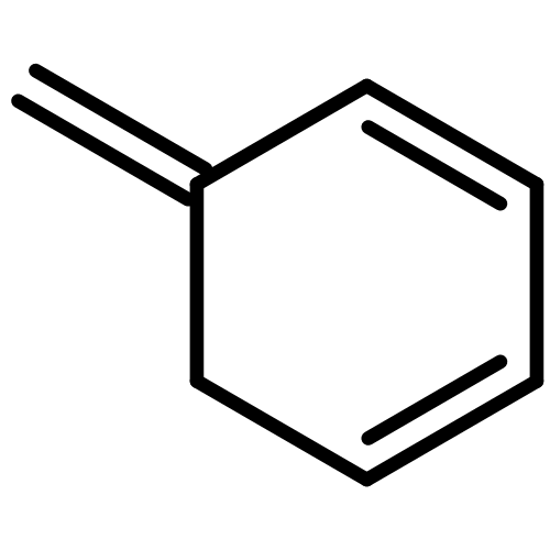 5-methylene 1,3-cyclohexadiene