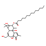 PHORBOL-12-MONOMYRISTATE