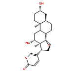 (3beta,5beta,8xi,9xi,12beta,15beta)-3,12-dihydroxy-14,15-epoxybufa-20,22-dienolide