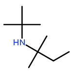 2-Butanamine,N-(1,1-dimethylethyl)-2-methyl-