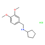 Cyclopentyl-(3,4-dimethoxy-benzyl)-amine hydrochloride