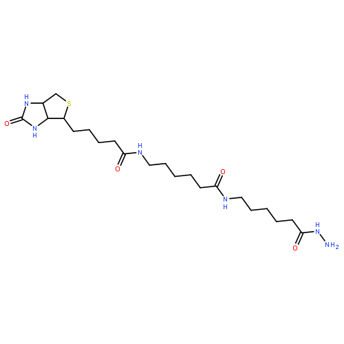 N-(6-hydrazinyl-6-oxohexyl)-6-[5-(2-oxo-1,3,3a,4,6,6a-hexahydrothieno[3,4-d]imidazol-4-yl)pentanoylamino]hexanamide