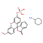 3-O-METHYLFLUORESCEIN PHOSPHATE CYCLOHEXYLAMMONIUM SALT