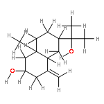 (+)-pterocarpol