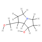 (-)-turneforcidine