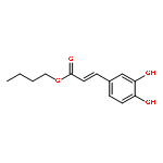 Butyl 3-(3,4-dihydroxyphenyl)acrylate